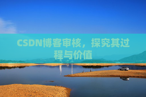 CSDN博客审核,探究其过程与价值